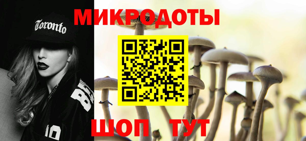 Лангепас  Псилоцибиновые грибы Psilocybine cubensis  Вход с VPN 