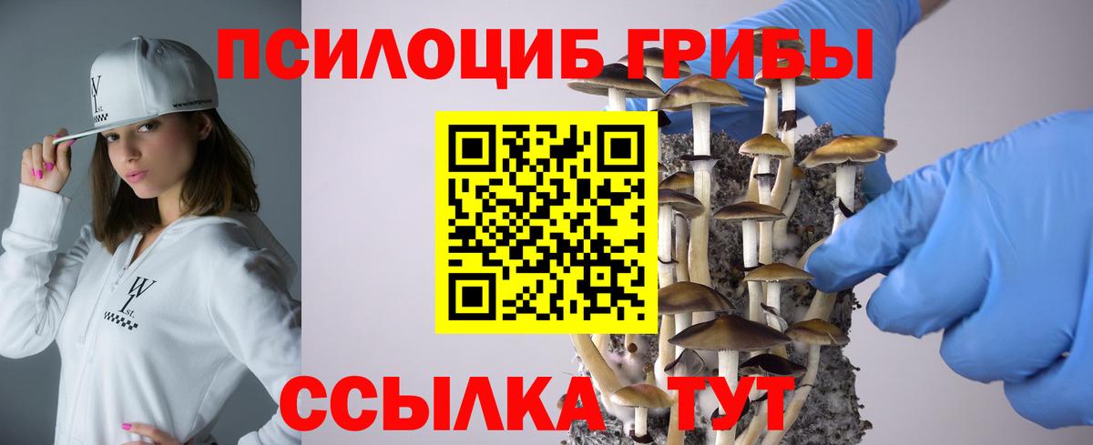 Псилоцибиновые грибы Psilocybe Лангепас